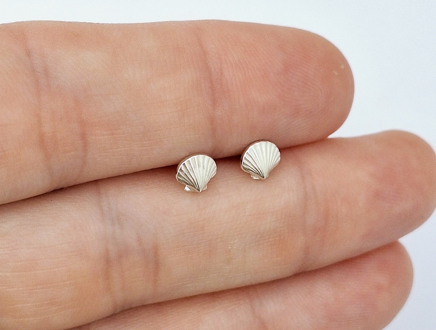 Clam Shell Studs