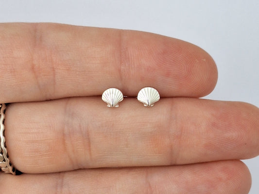 Clam Shell Studs