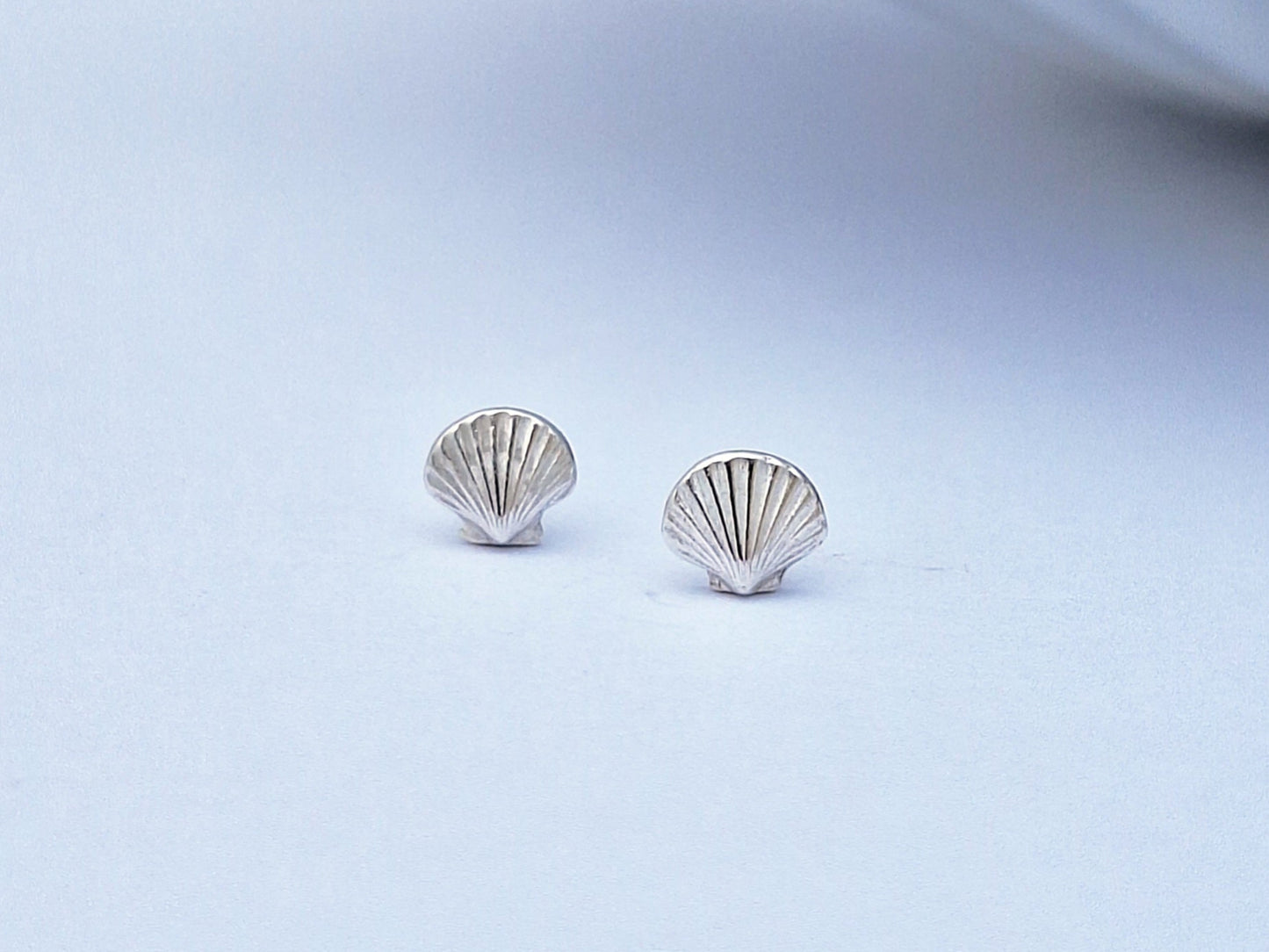 Clam Shell Studs