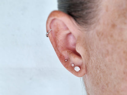 Clam Shell Studs