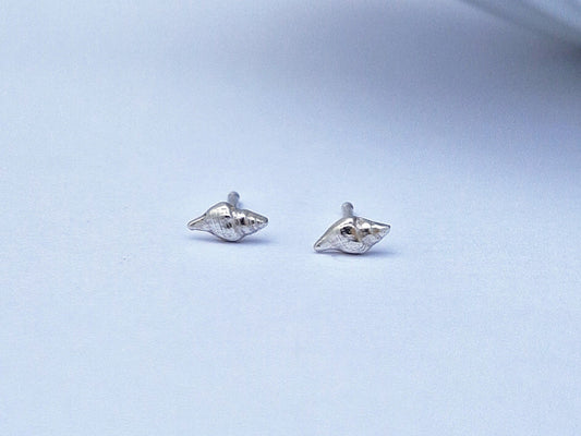 Conch Shell Studs