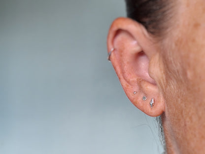 Conch Shell Studs